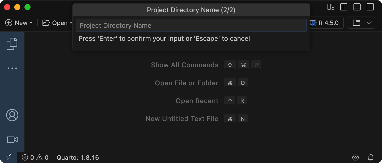 Project Directory Name prompt in Positron, with an empty text box for the directory name.